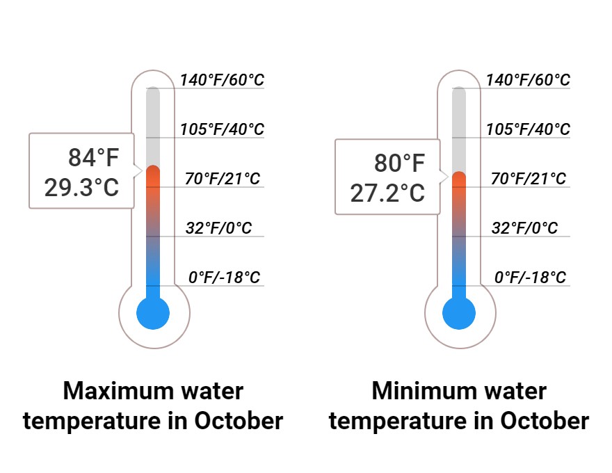 Average Sea temperature